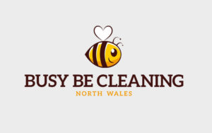 Cleaning Company Logo Design