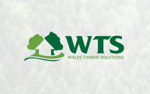 Wales Timber Solution Logo Design