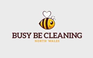 Cleaning Company Logo Design